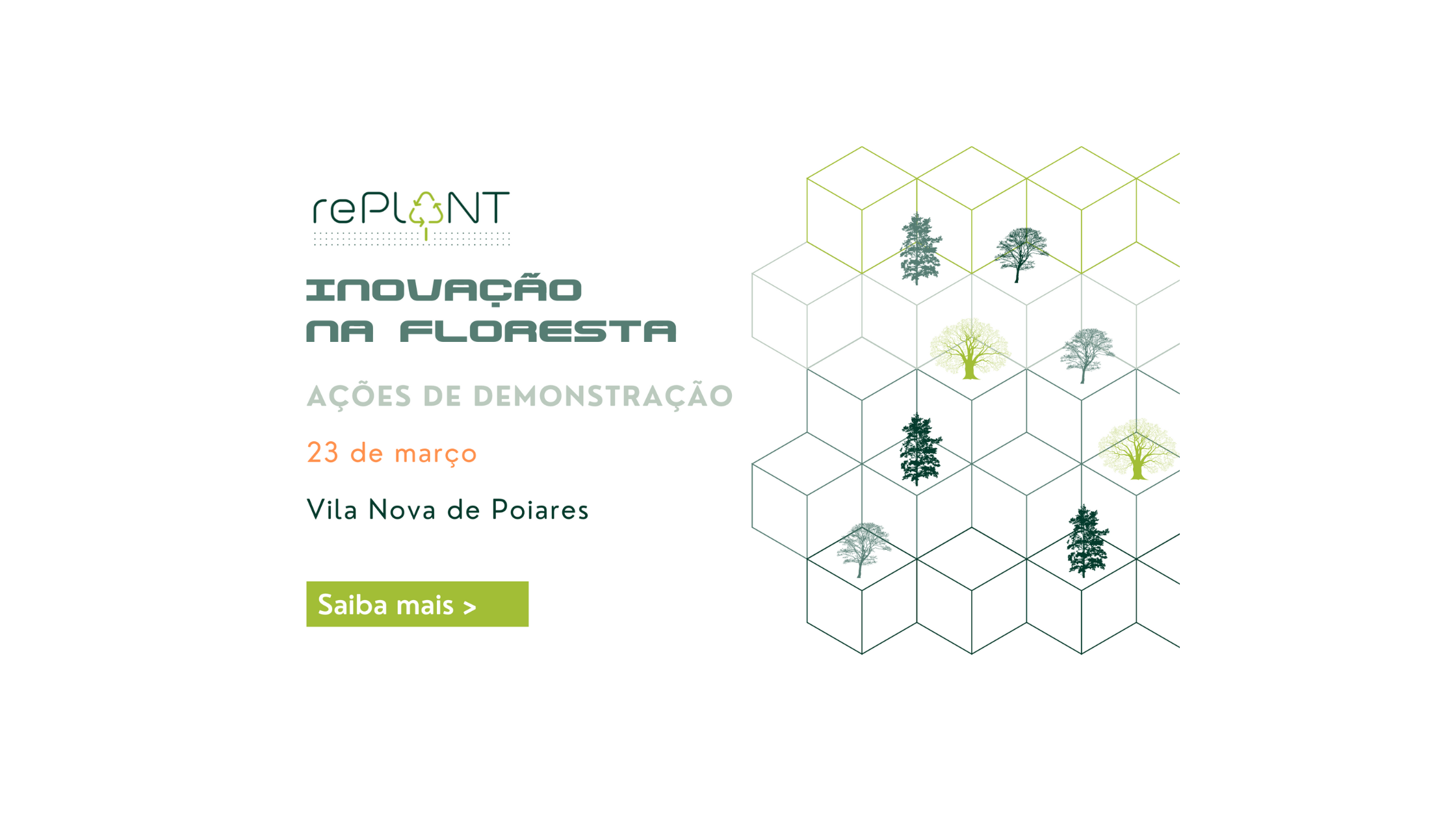 Banner destaque HP replant